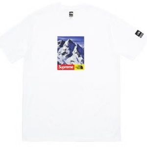 Supreme North Face T-shirt 2017